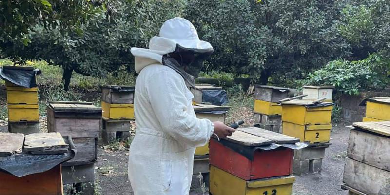 Productores apícolas formalizan su actividad en San Marcos