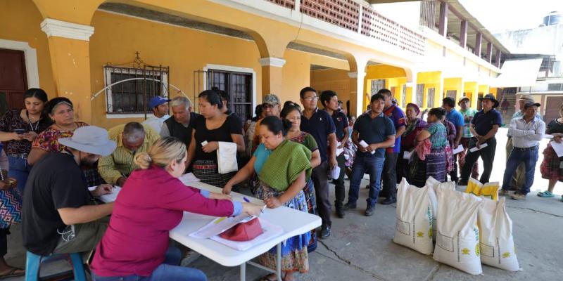 Semilla certificada impulsa recuperación agrícola de familias en Santa María de Jesús