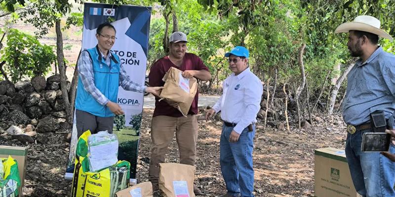 Semillas e insumos fortalecen la producción de frijol en el corredor seco