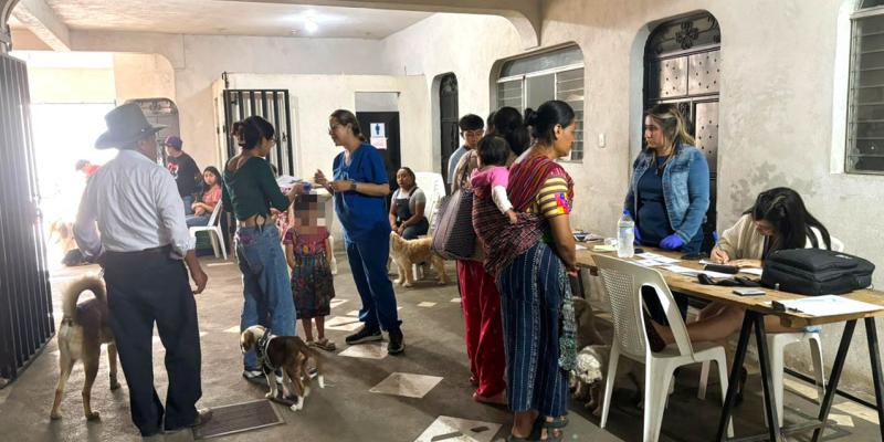 Vacunan y desparasitan a más de 200 animales en Sacatepéquez