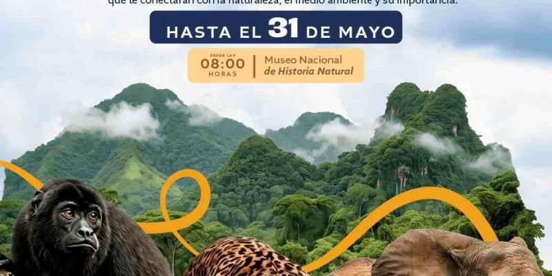 ¿Alguna vez te has detenido a observar todo lo que vive a tu alrededor?
