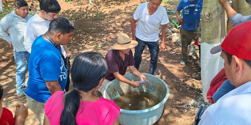 Capacitación en tilapia abre oportunidades reales para familias productoras