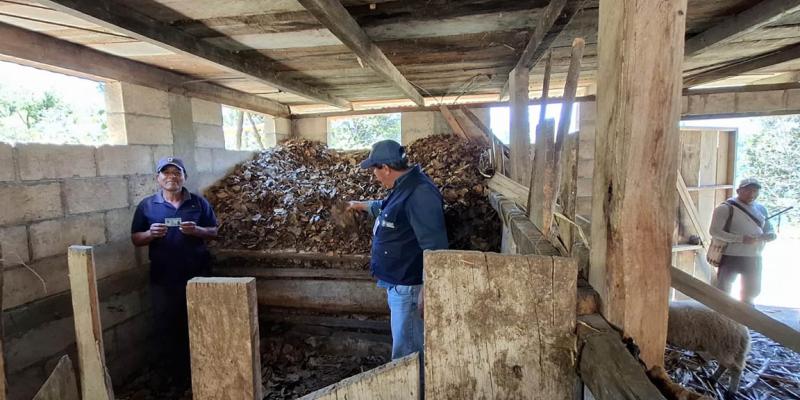 Comunidades de San Marcos impulsan proyectos productivos a cambio de apoyo alimentario
