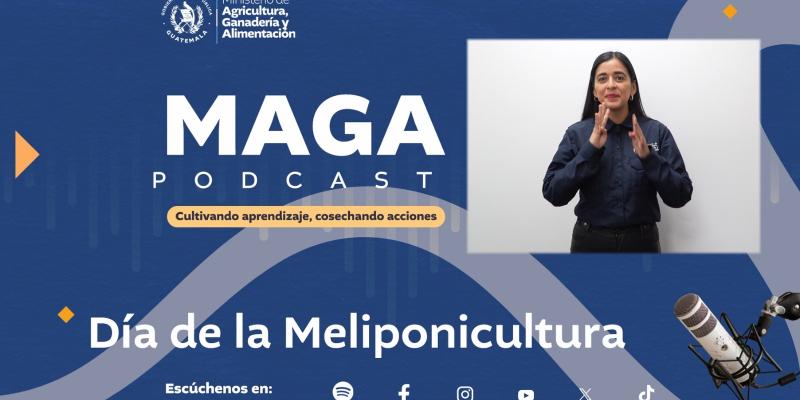 MAGA Podcast: Día de la Meliponicultura