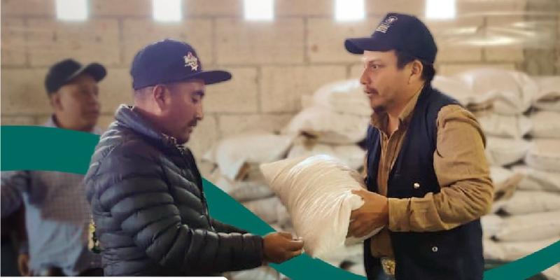 Más de 428 mil familias fortalecen su seguridad alimentaria