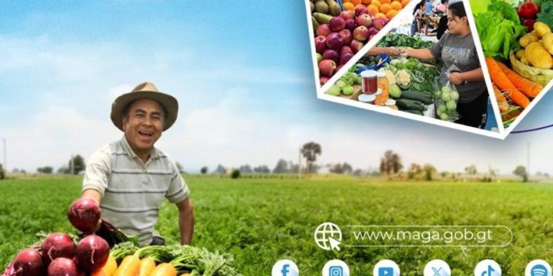 El sabor del campo llega a Zacapa