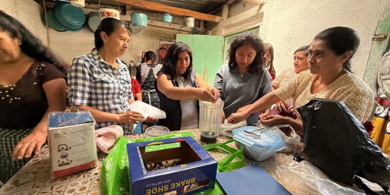 Elaboración de té artesanal impulsa economía de familias en San Marcos