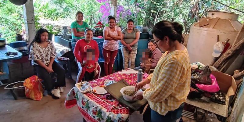 Elaboran sazonadores artesanales con plantas nativas