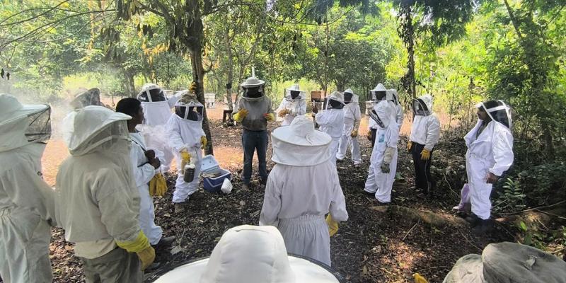 Fortalecen conocimientos de apicultores en crianza de reinas y manejo de colmenas