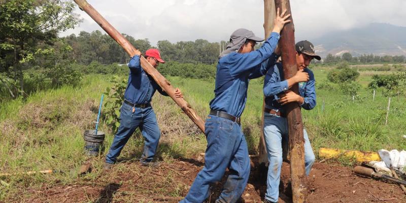 Futuros profesionales agrícolas potencian competencias en manejo de recursos forestales 