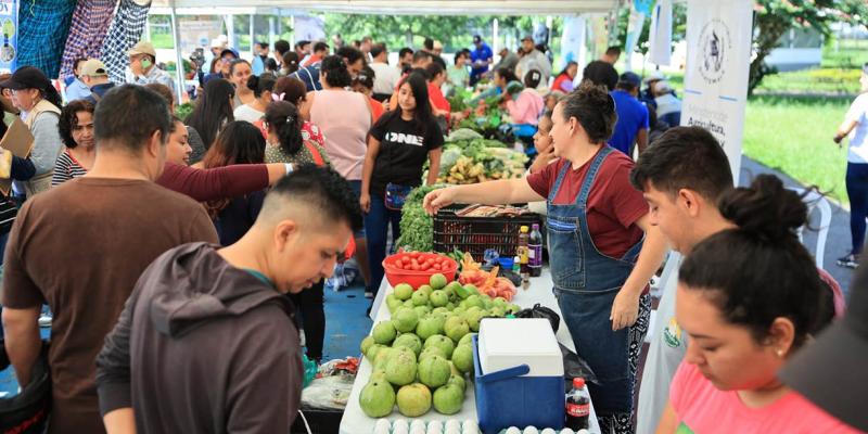 Nueva edición de la Feria del Agricultor conecta el campo con la capital