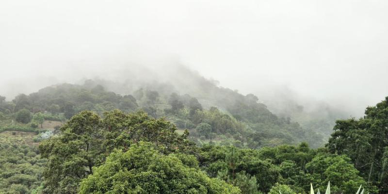 Semana de calor, humedad y lluvias