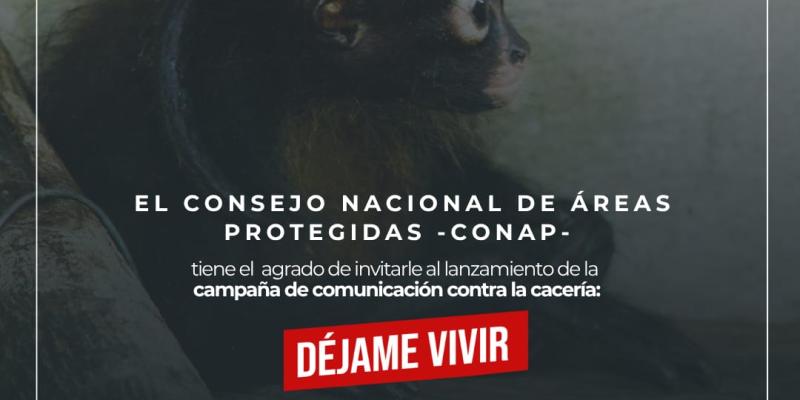 Campaña contra la cacería