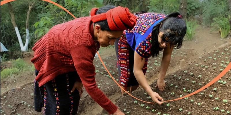 Proteja sus cultivos con plaguicidas orgánicos