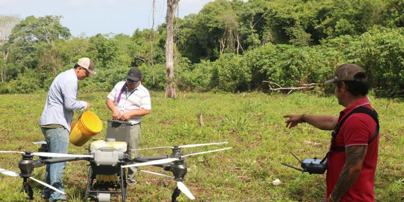 Asistencia técnica con drones beneficia a productoras de Colpetén