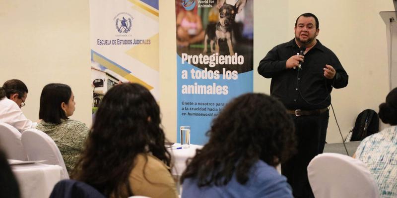 Jueces participan en taller relativo a la Ley de Protección y Bienestar Animal