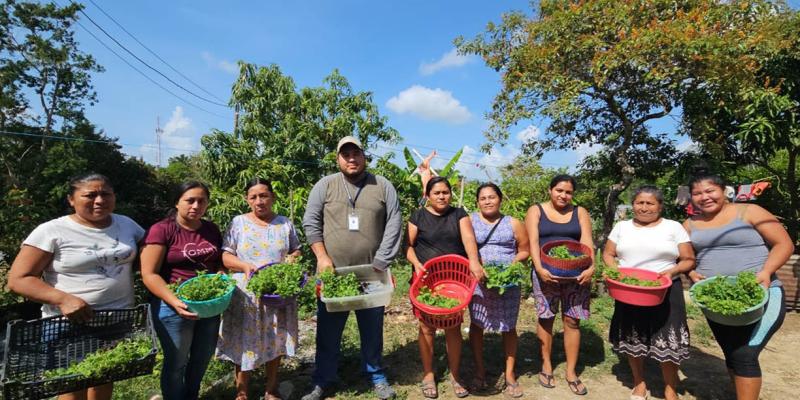 Entregan pilones de hortalizas a familias de Dolores y San Luis