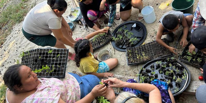 Más de 356 mil familias reciben apoyo para fortalecer su seguridad alimentaria
