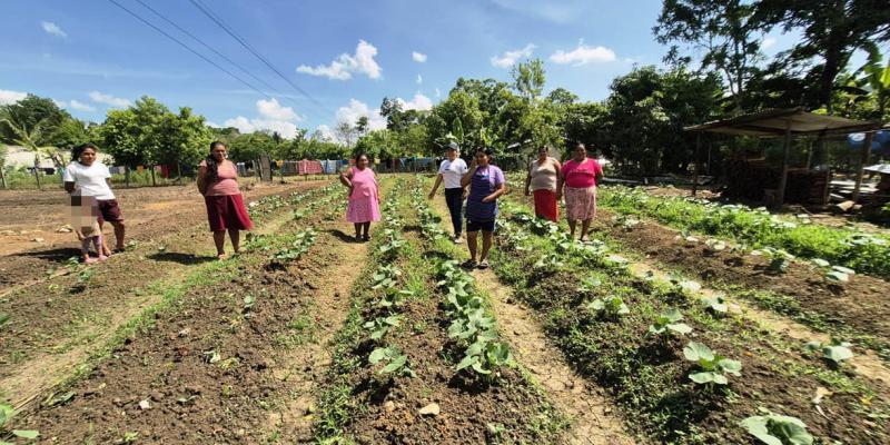 Mujeres de CADER fortalecen conocimientos del cultivo de pepino