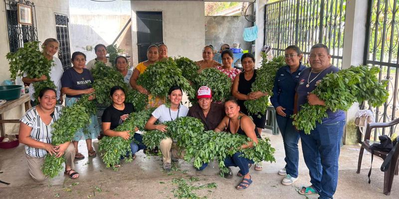 Familias fortalecen su alimentación con productos locales
