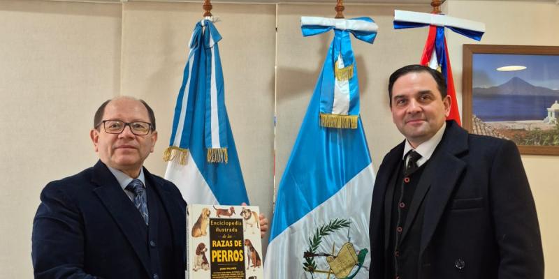 nota de prensa