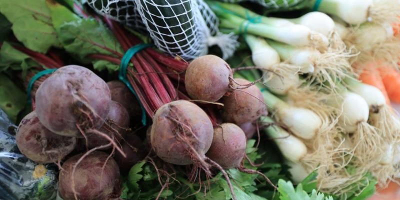 Próximamente llega la Feria del Agricultor en Granados, Baja Verapaz