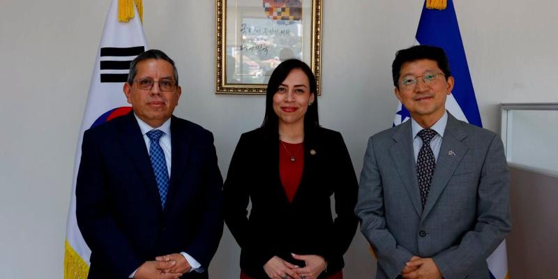 nota de prensa