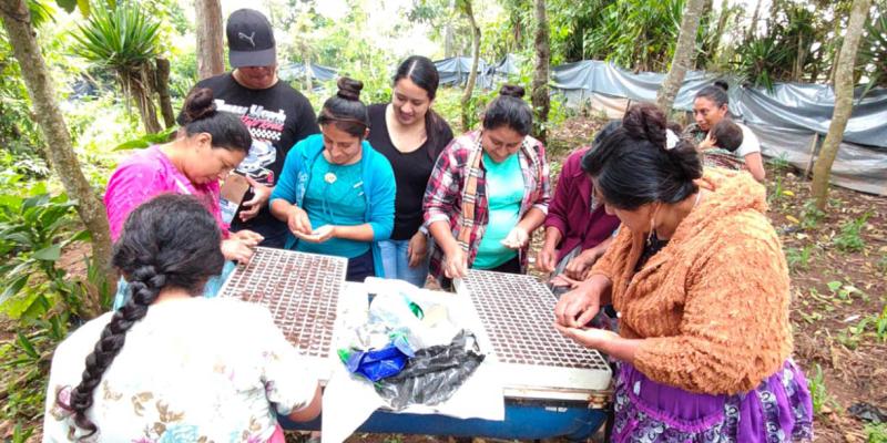 Agricultores de Jalapa fortalecen la producción de hortalizas con asistencia técnica en semilleros
