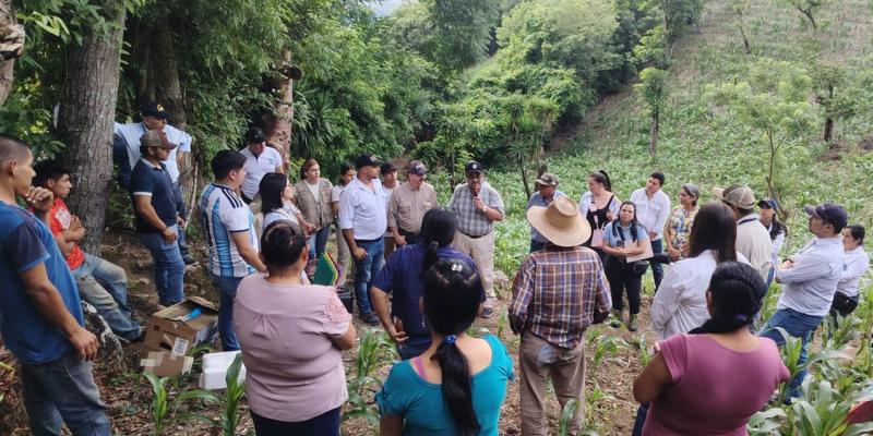 Alianza interinstitucional impulsa la productividad agrícola en Chiquimula