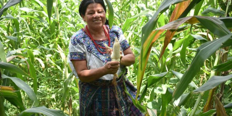 MAGA Podcast: El Seguro Agropecuario