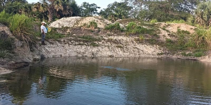 Asistencia técnica impulsa mejoras en cultivo de tilapia