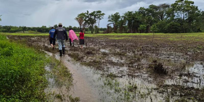 Lluvias previstas favorecerán la recuperación de la humedad en los suelos