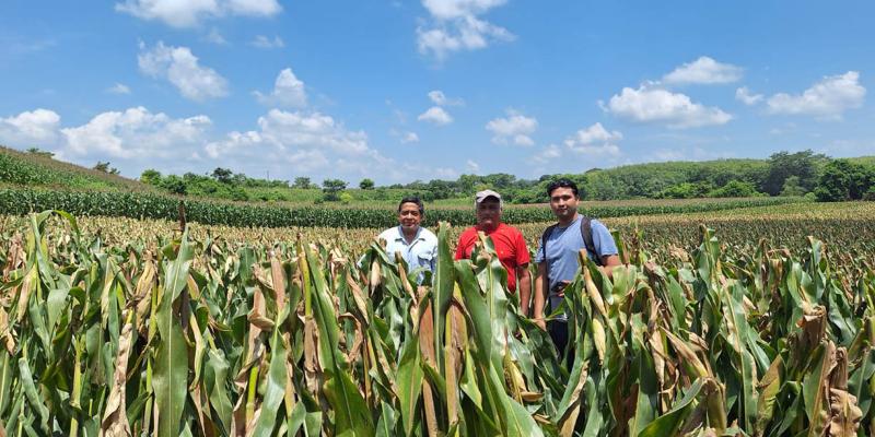 Avanza el registro de agricultores en sectores de la parte alta de Retalhuleu 