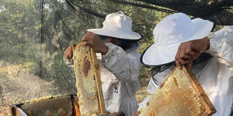 Buenas prácticas fortalecen competitividad de productores en Retalhuleu