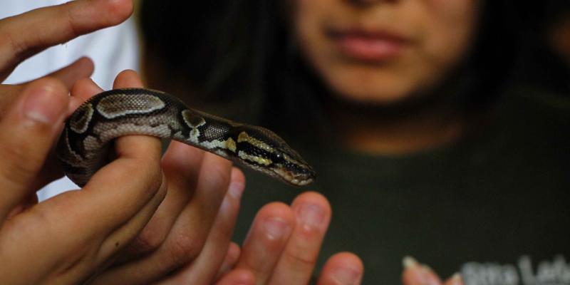 Residentes de Tejiendo Sueños conocen sobre el cuidado de la flora y fauna de Guatemala