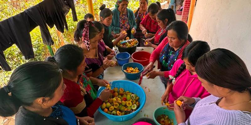 Capacitan a mujeres de Huitán en conservación de alimentos y elaboración de almíbar