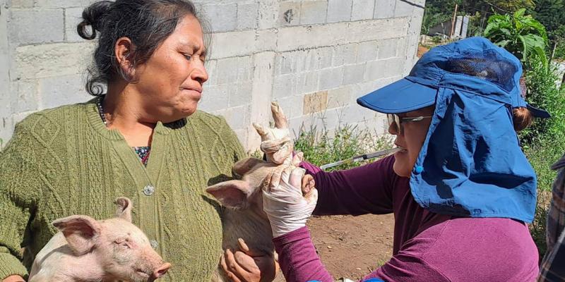 Ciencia y compromiso al servicio de la sanidad animal