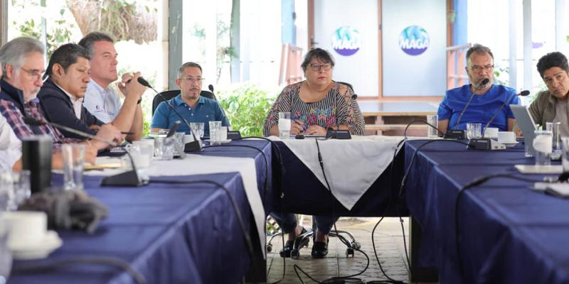 Fortalecen medidas para mantener a Guatemala libre de influenza aviar