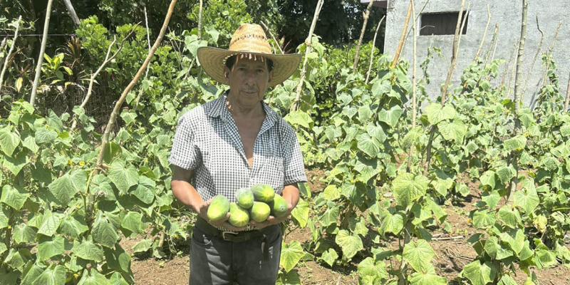 Cosecha de huerto comunal fortalece seguridad alimentaria de familias de San Francisco Zapotitlán 