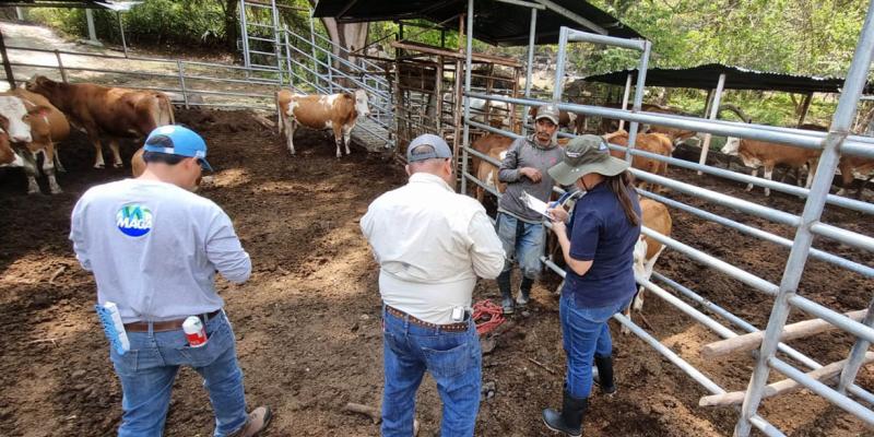 Crean el SINART para el registro y control sanitario para las cadenas pecuaria, acuícola y apícola