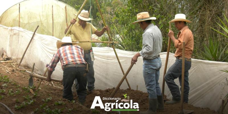 Diccionario Agrícola: Nivel en A