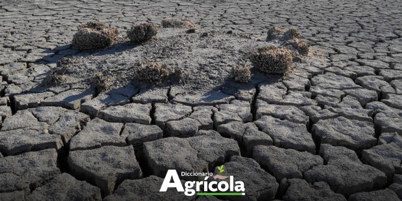 Diccionario Agrícola: Resiliencia Climática