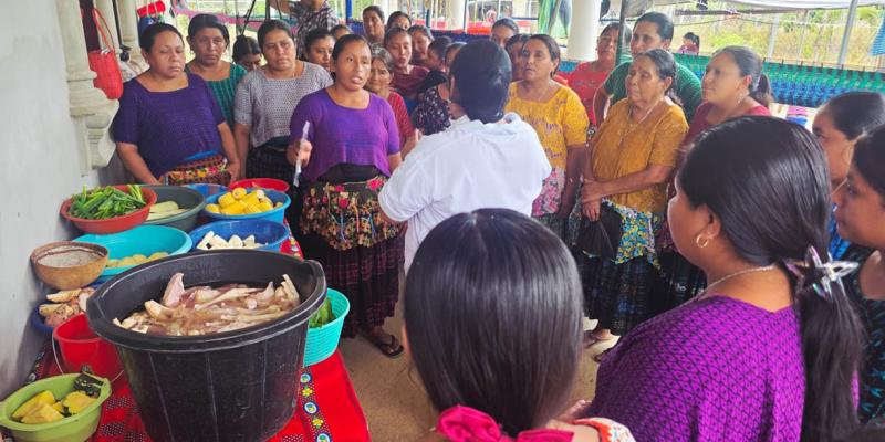 Diversificación de cultivos fortalece seguridad alimentaria en Sayaxché