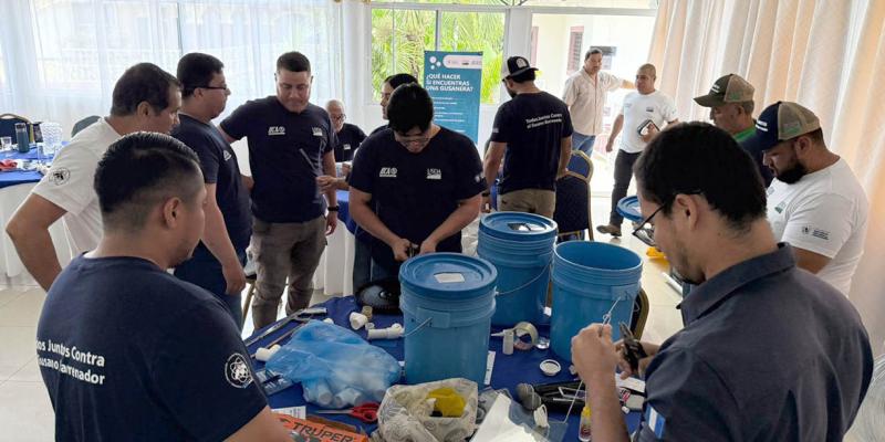 Implementan trampas para moscas como medida preventiva al Gusano Barrenador