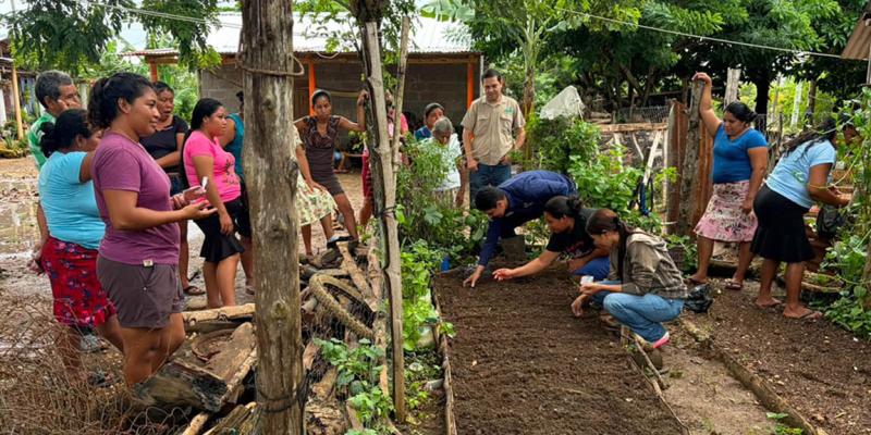Establecen huertos familiares en Las Cruces, Petén