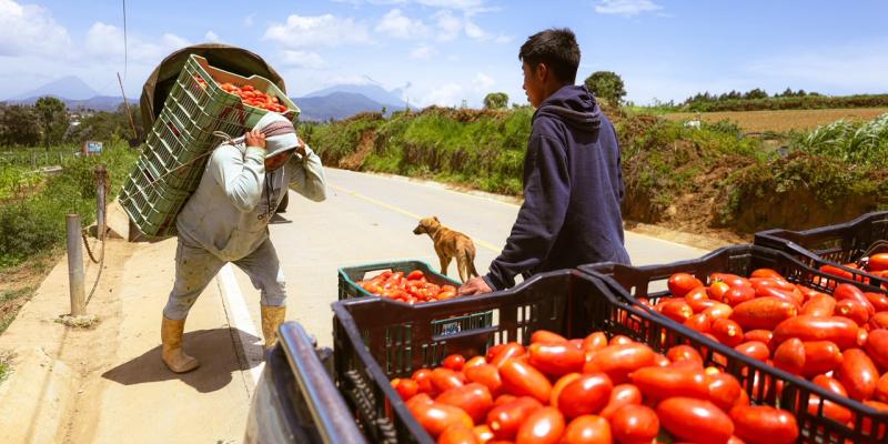 Nuevo camino mejora la vida en Santa Cruz Balanyá