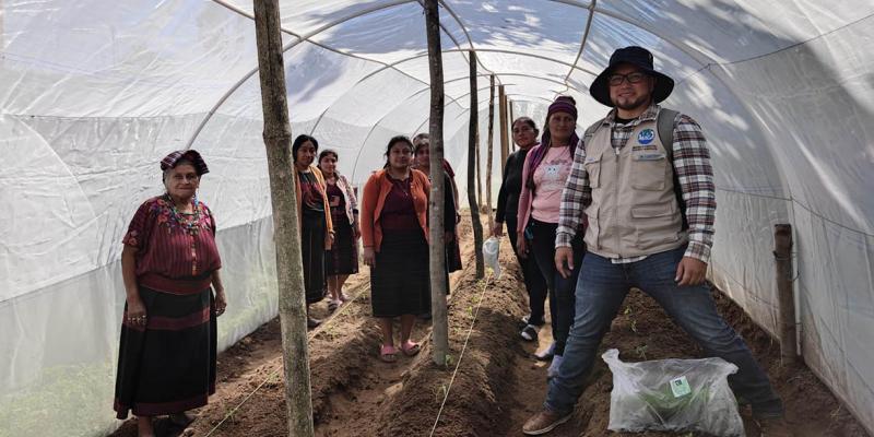 Resguardan agricultura familiar de Huehuetenango con macrotúneles