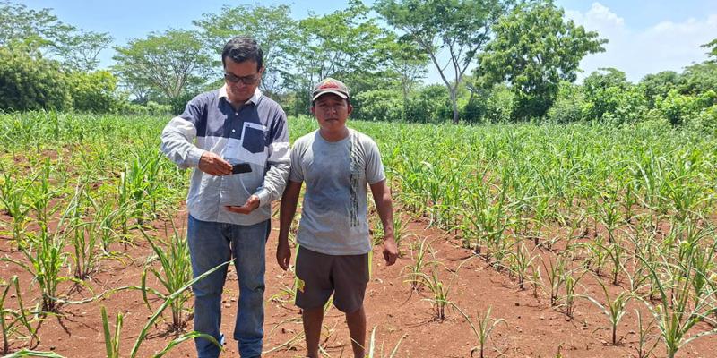 Impulsan caracterización del sector agrícola mediante el levantamiento de datos del RUA