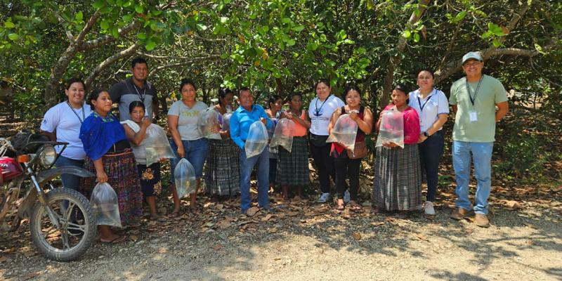 Más de mil familias de Petén fortalecen su producción acuícola