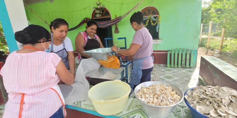 Mujeres de El Chal deshidratan y transforman alimentos